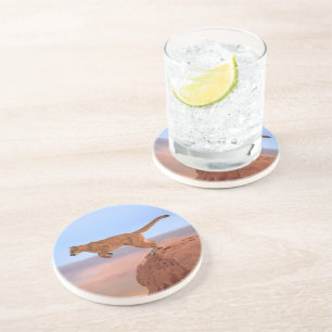 Mountain Lion Coaster