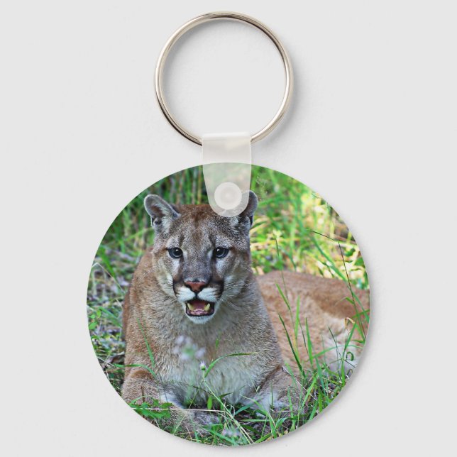 Mountain Lion Complaining Key Ring (Front)
