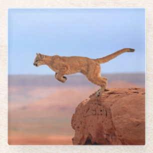 Mountain Lion Glass Coaster
