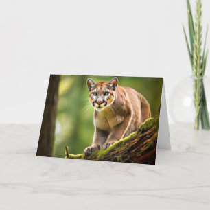 Mountain Lion Greeting Card