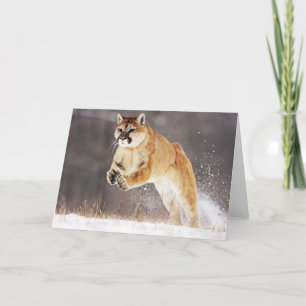 Mountain Lion Greeting Card