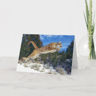 Mountain Lion Greeting Card