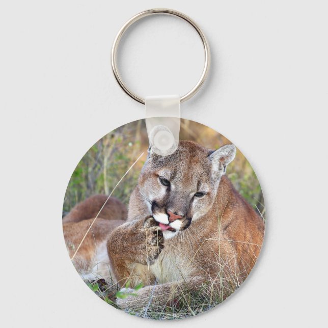 Mountain Lion - Hmmm Key Ring (Front)