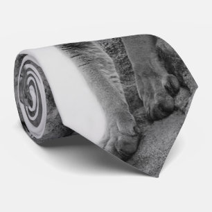 Mountain Lion in Black and white Tie