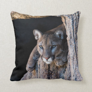 Mountain Lion in Cave Cushion