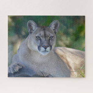 Mountain Lion Jigsaw Puzzle