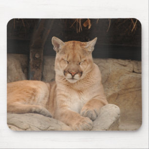 Mountain Lion Mouse Mat