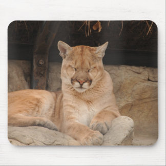 Mountain Lion Mouse Mat