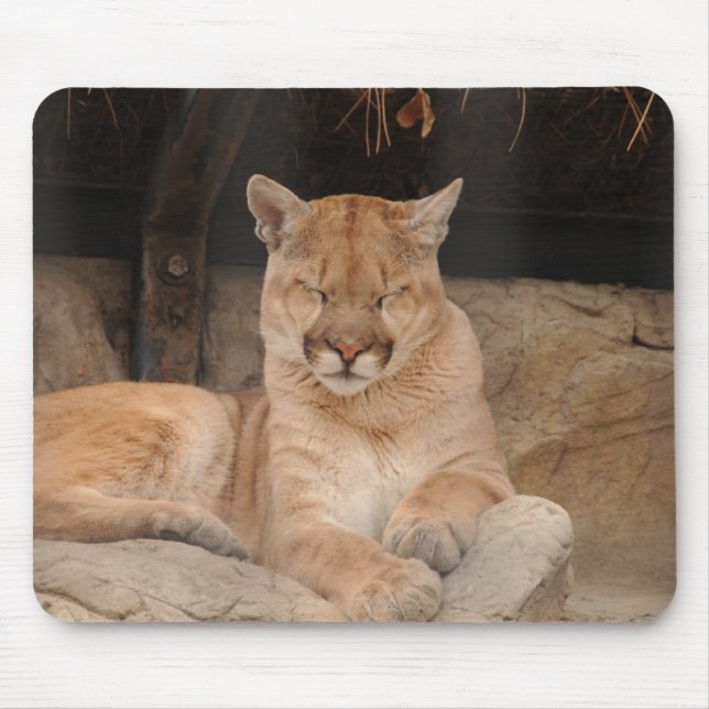 Mountain Lion Mouse Mat (Front)