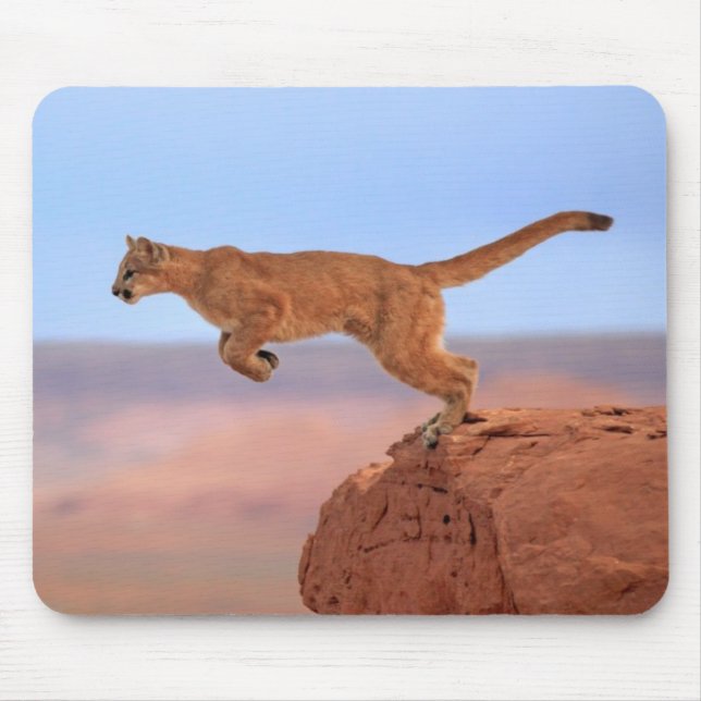 Mountain Lion Mouse Mat (Front)