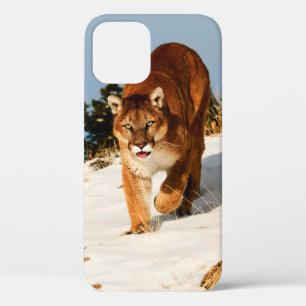 Mountain Lion on snowy hill iPhone 12 Case