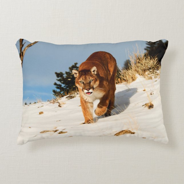 Mountain Lion on snowy hill Decorative Cushion (Front)