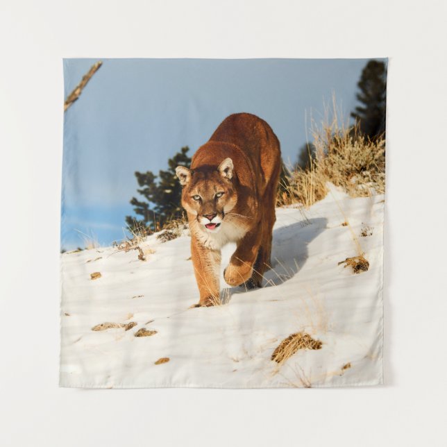 Mountain Lion on snowy hill Tapestry (Front)