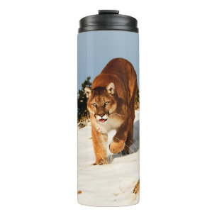Mountain Lion on snowy hill Thermal Tumbler