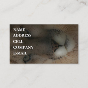 'Mountain Lion on the Hunt' Business Card