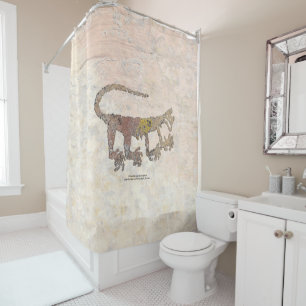 Mountain Lion Petroglyph  Curtain