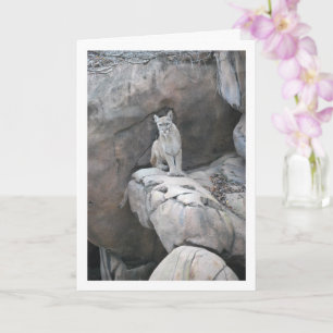 Mountain Lion Portrait Card