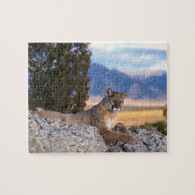 Mountain Lion Puzzle (Horizontal)