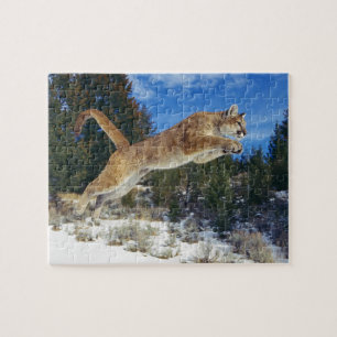 Mountain Lion Puzzle