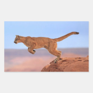 Mountain Lion Rectangular Sticker