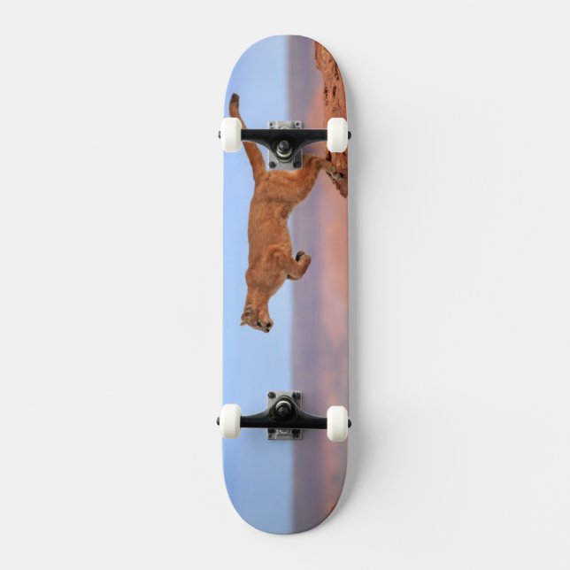 Mountain Lion Skateboard (Front)