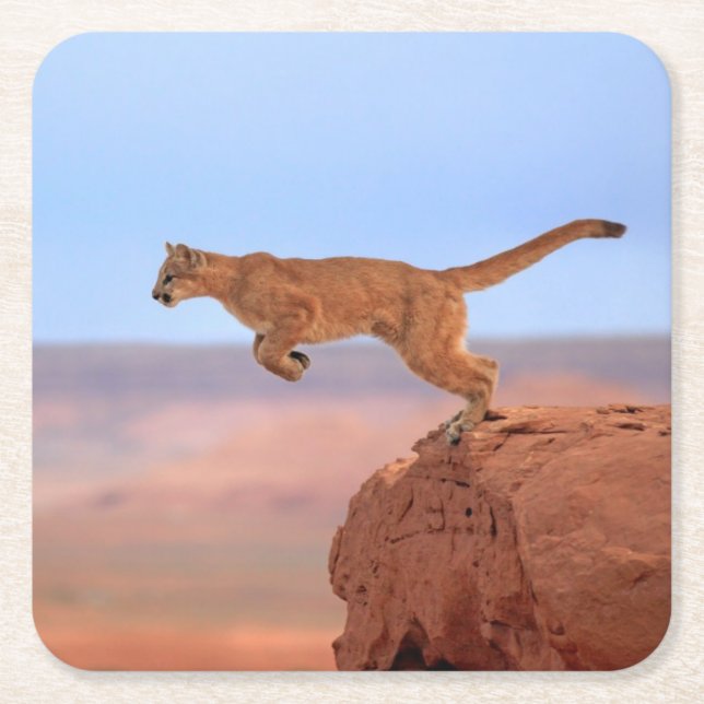Mountain Lion Square Paper Coaster (Front)