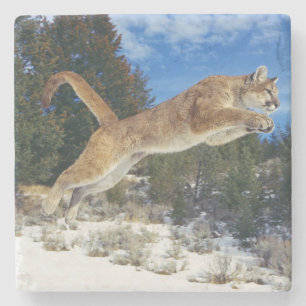 Mountain Lion Stone Coaster