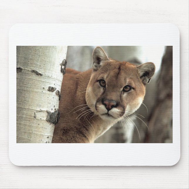 Mountain Lion Striking a Pose Mouse Mat (Front)
