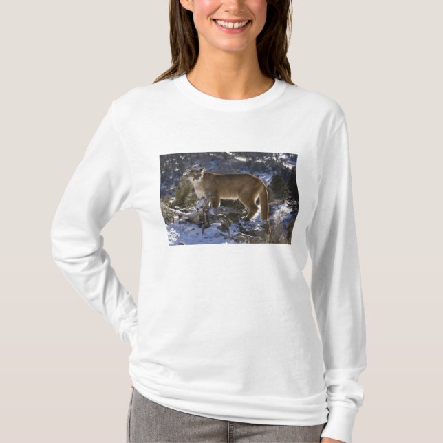 Mountain Lion T-Shirt (Front)