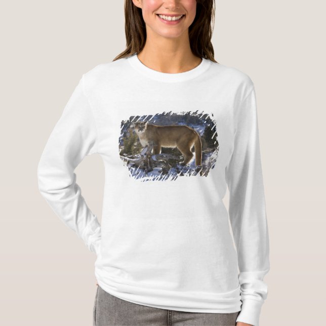Mountain Lion T-Shirt (Front)