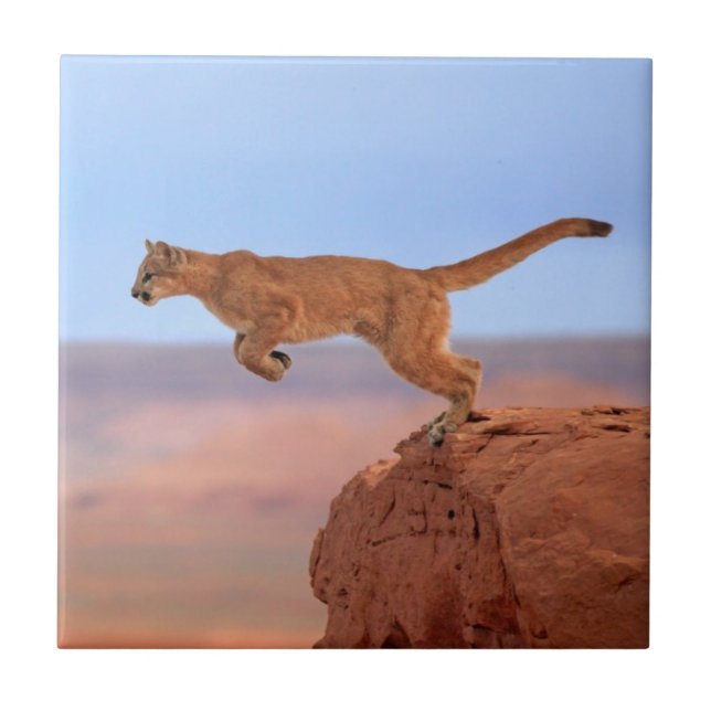 Mountain Lion Tile (Front)