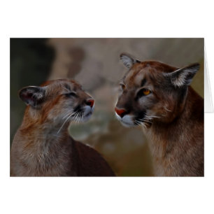 Mountain lions reverence
