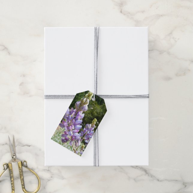 Mountain Lupins at Yosemite Gift Tags (With Twine)