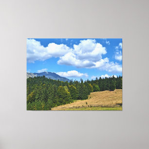 Mountain Meadow Landscape - Wild Nature Romania Canvas Print