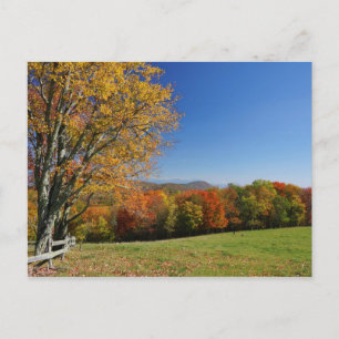 Mountain Meadow Postcard
