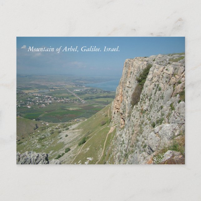 Mountain of Arbel, Galilee. Israel. Postcard (Front)