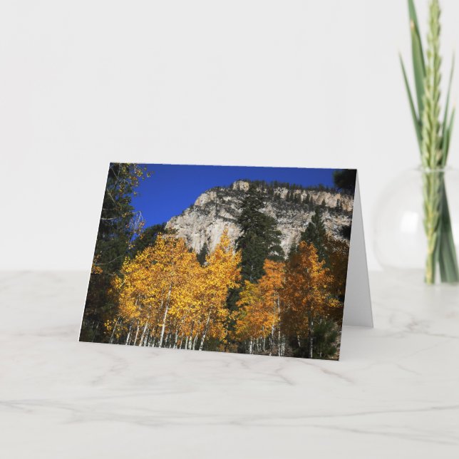 Mountain of Aspens, Trees, Blank Greeting Card (Front)