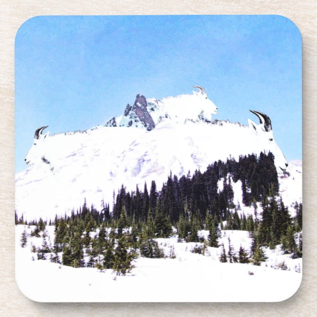 Mountain of Goats Coaster (Front)