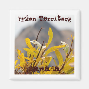Mountain of Leaves; Yukon Territory Souvenir Magnet