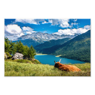 Mountain Pasture Highlands Cow Photo Print