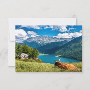 Mountain Pasture Highlands Cow Thank You Card