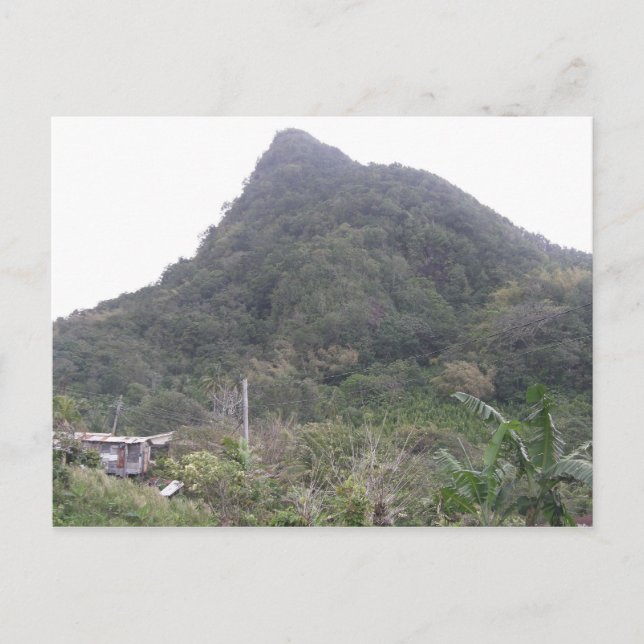 Mountain Peak Postcard (Front)