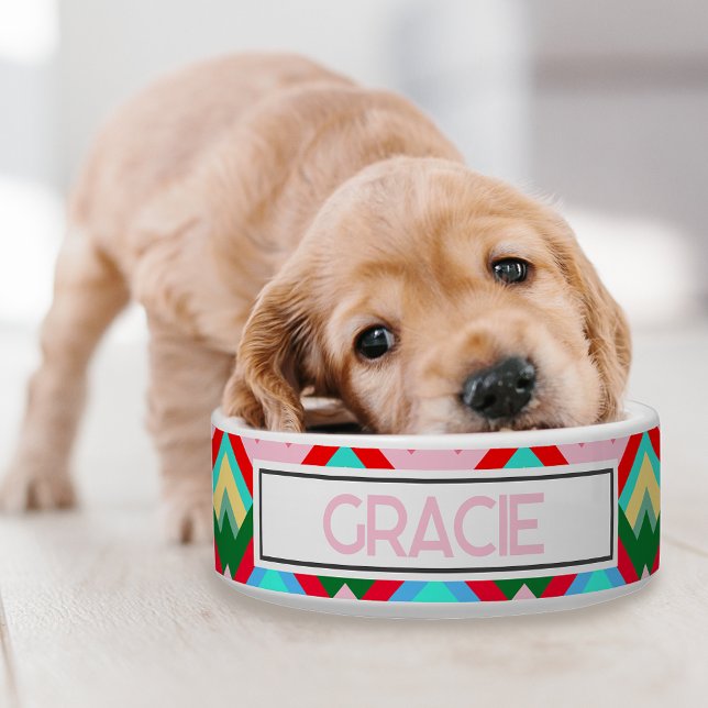 Mountain Peaks Design With Pet Name Bowl (A retro colorful dog bowl for your pup!)