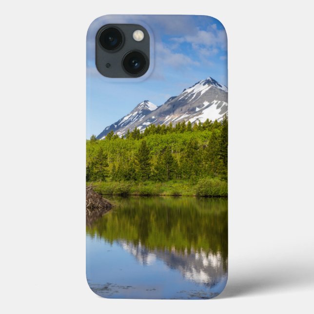 Mountain Peaks Reflect Into A Beaver Pond Case-Mate iPhone Case (Back)