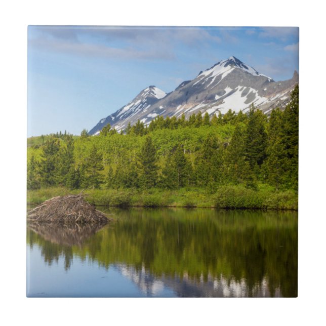 Mountain Peaks Reflect Into A Beaver Pond Tile (Front)