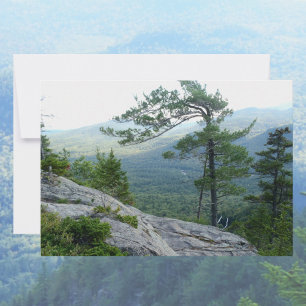 Mountain Pine Tree – Nature’s Resilience Photo Card