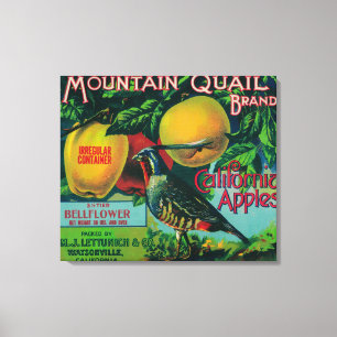 Mountain Quail Apple Crate Label Canvas Print