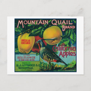 Mountain Quail Apple Crate Label Postcard