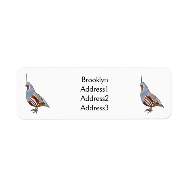 Mountain quail bird cartoon illustration (Front)