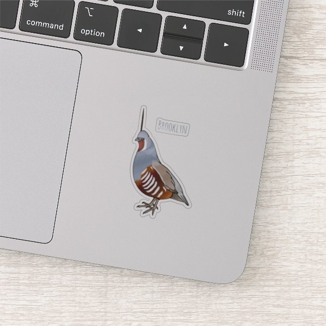 Mountain quail bird cartoon illustration (Detail)